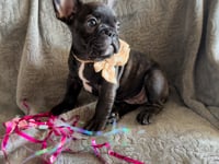 My personality & characteristics