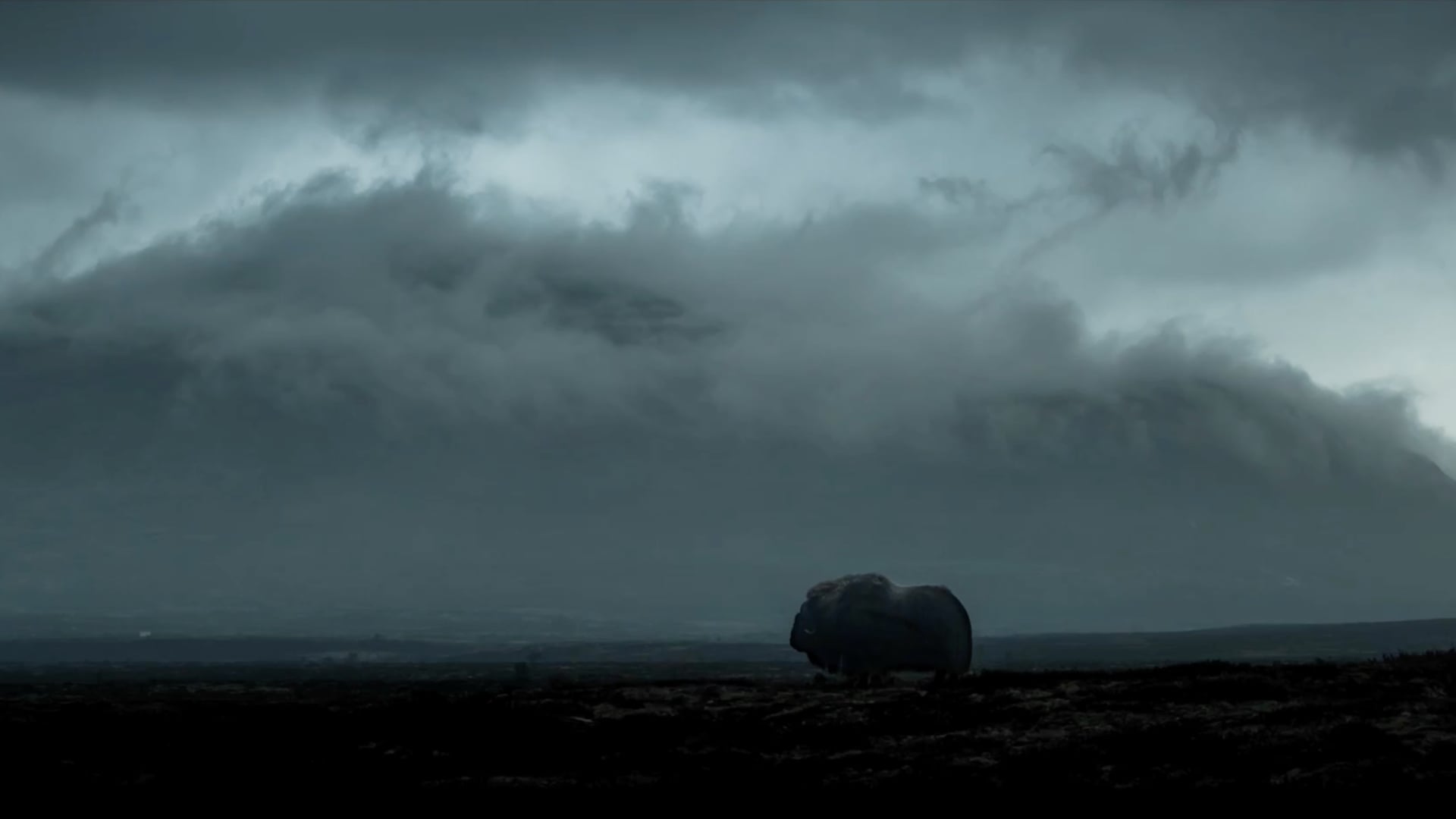 NIKON | PHOTOGRAPHER