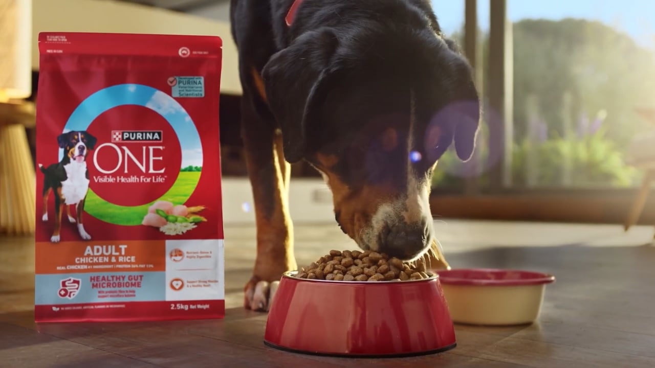 Visible Health For Life