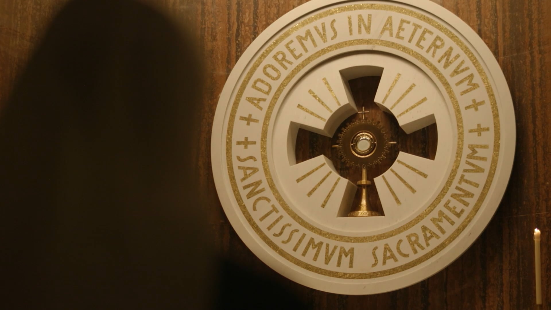 Sisters of St. Francis of Perpetual Adoration Vocations