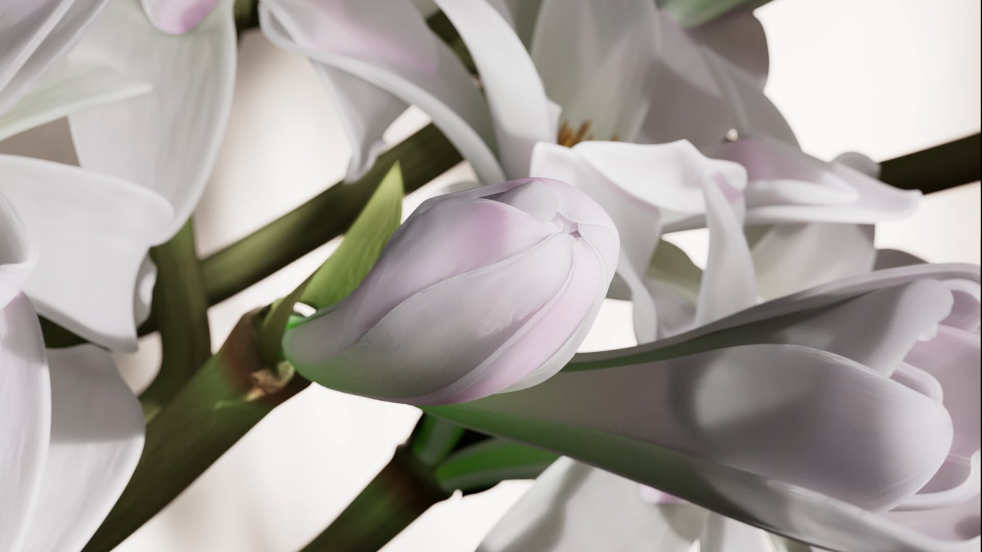 Thumbnail de la vidéo