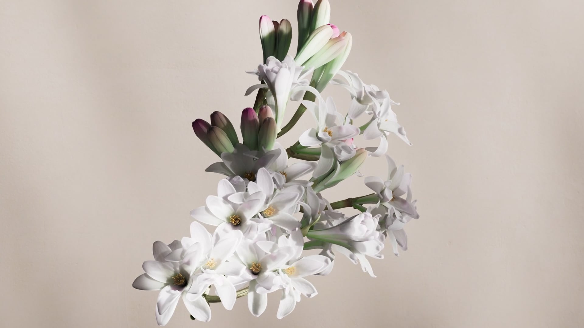 Thumbnail de la vidéo