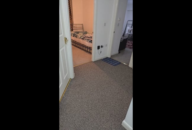 Single room for rent Main Photo