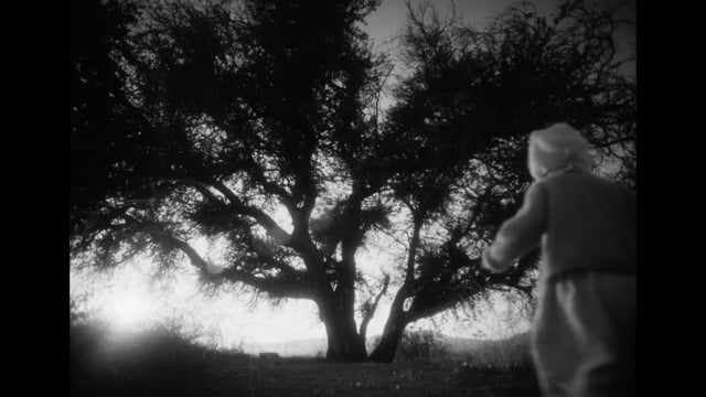 There Is a Light on the Horizon Line music video still