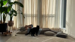 Related Embedded Video Item Thumbnail