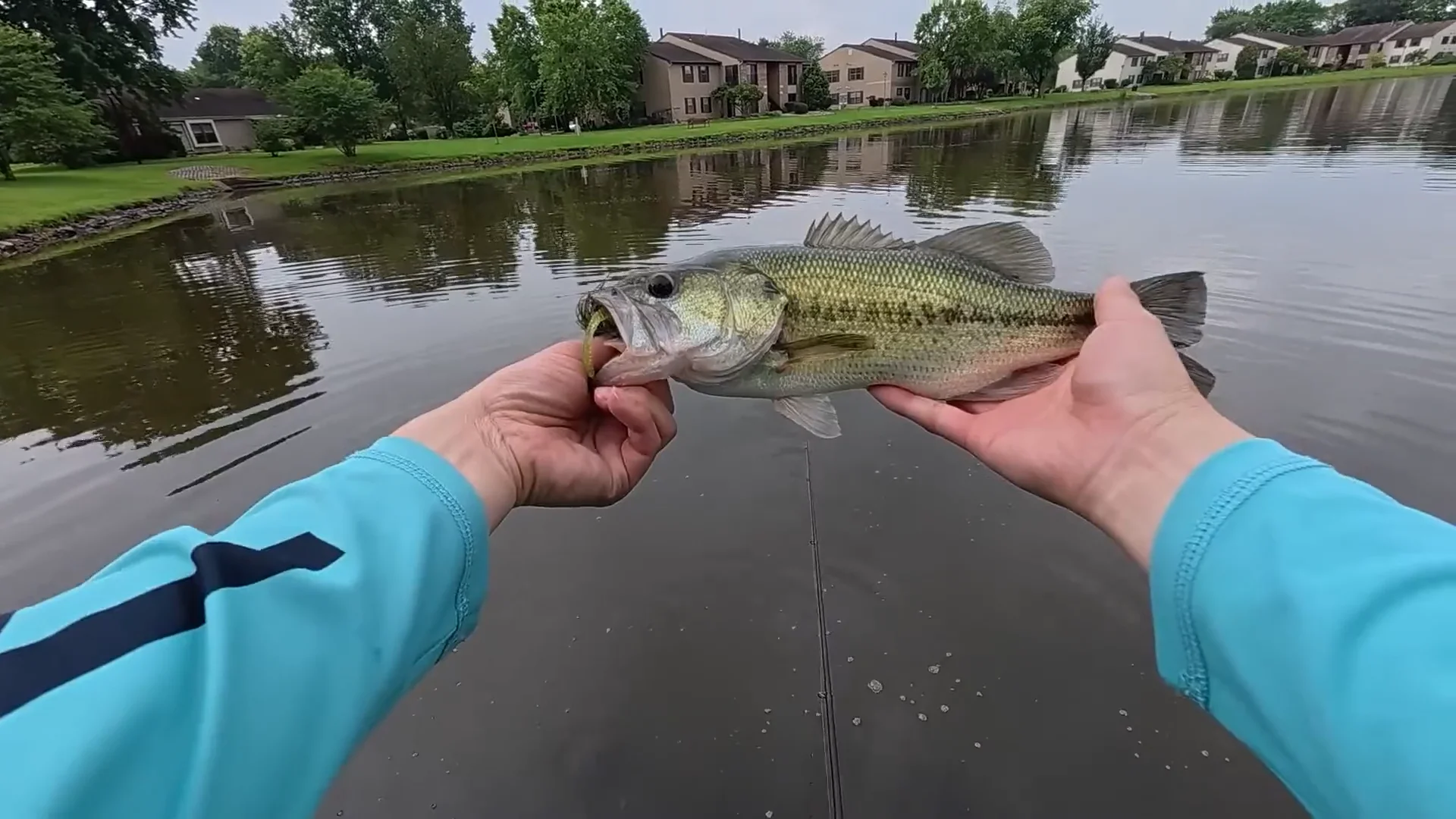 Z-Man Chatterbait MicroMax — Discount Tackle
