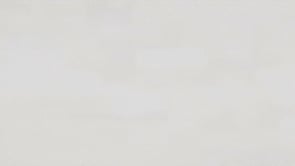 Vignette de la vidéo