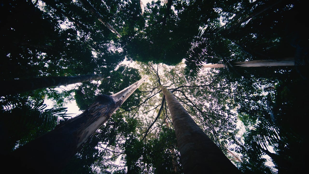 Still from Cairns Luxury Guides, a film by Mustard Design & Digital