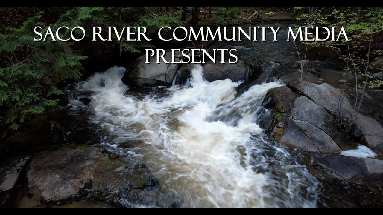 Historic Journey Upriver: Alewives Return to the Presumpscot