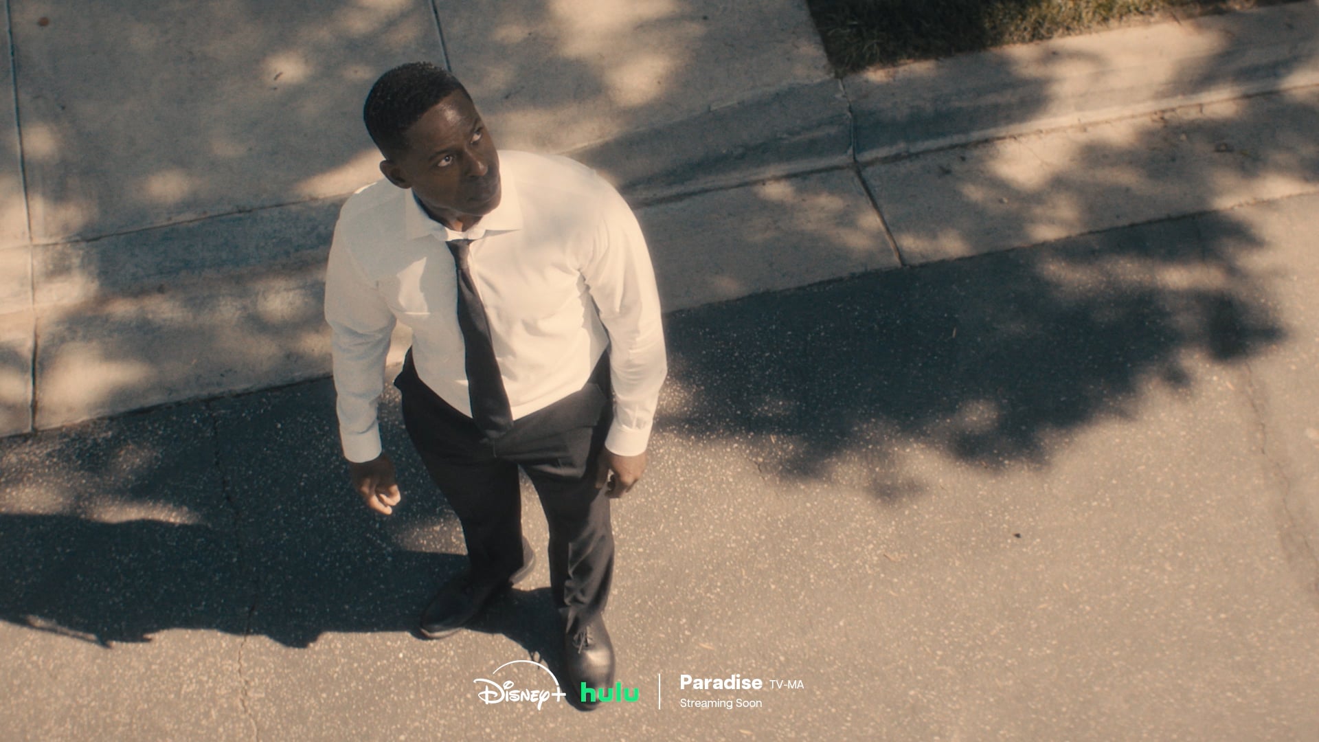 Disney+ Hulu - The Drama You Want