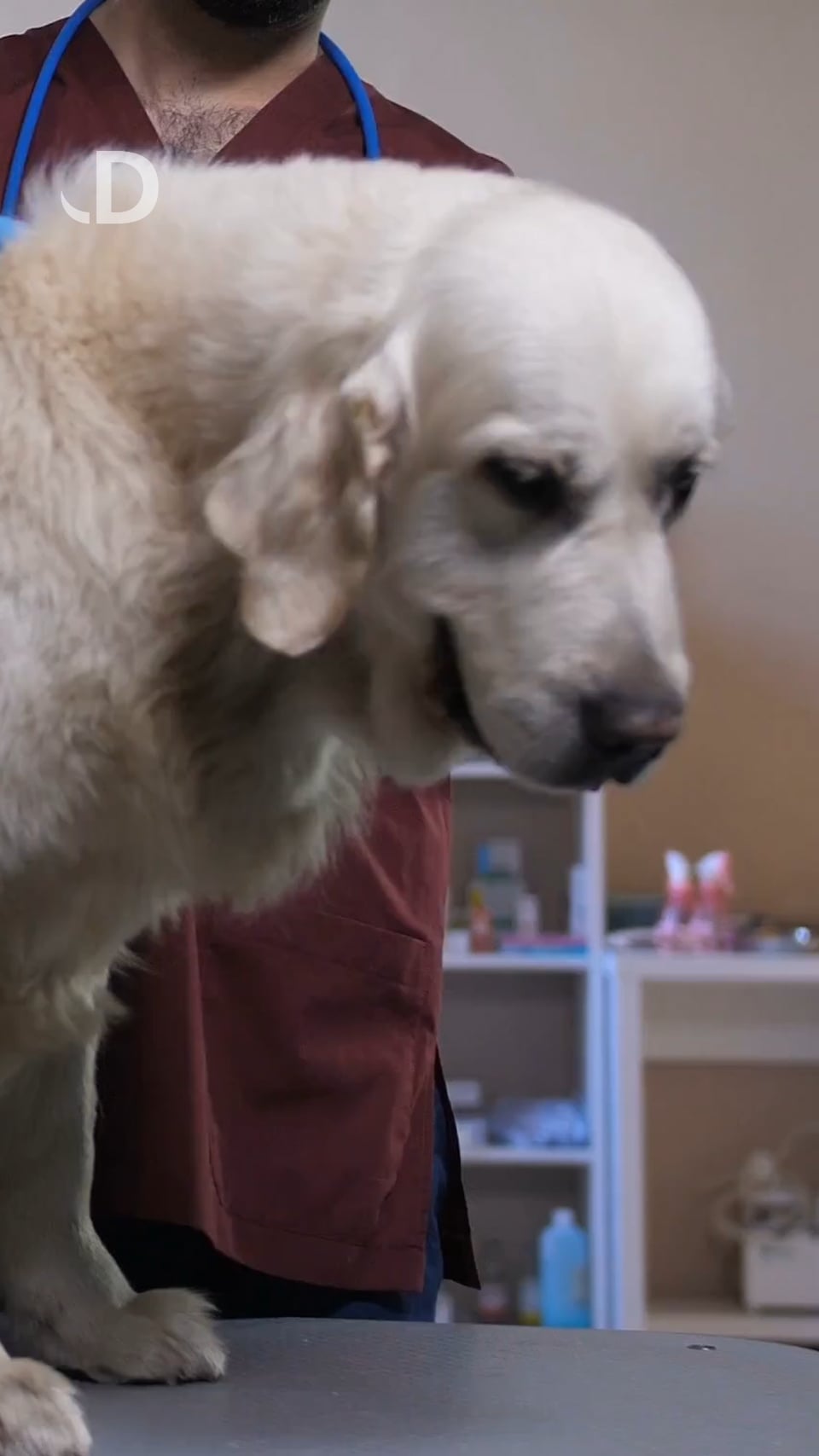 ESTERILIZACION