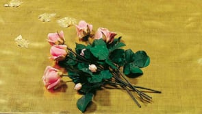 Vignette de la vidéo