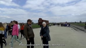Video 5