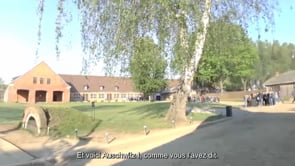Video 8