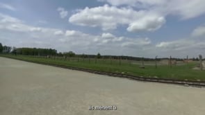 Video 11