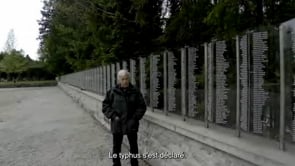 Video 17