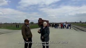 Video 6