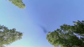 Video 13