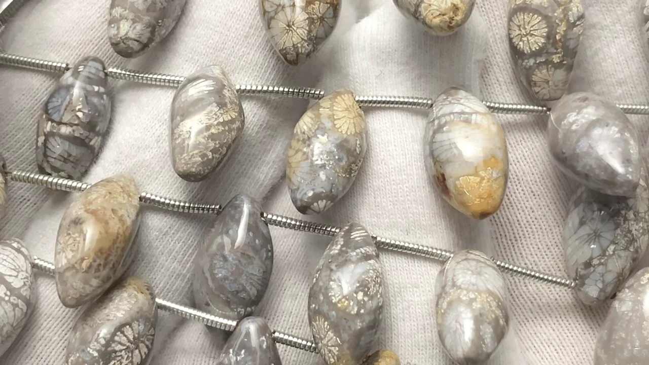 フォシルコーラル（化石珊瑚） マーキスライス（プレーン） 1連