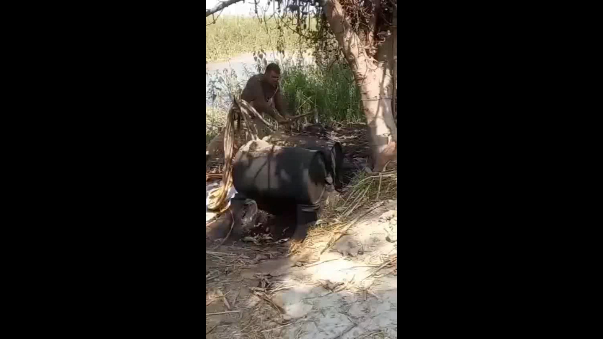 निघासन में आबकारी विभाग की बड़ी कार्रवाई, 50 लीटर कच्ची शराब बरामद, 300 लीटर लहन व दो भट्टियां नष्ट