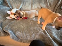 My personality & characteristics