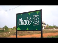 Chalé Spirulina Powder 150GR 0