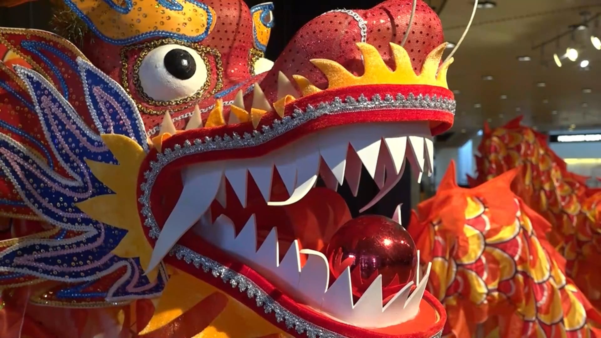 Celebrating the Dragon: Lunar New Year Festivities
