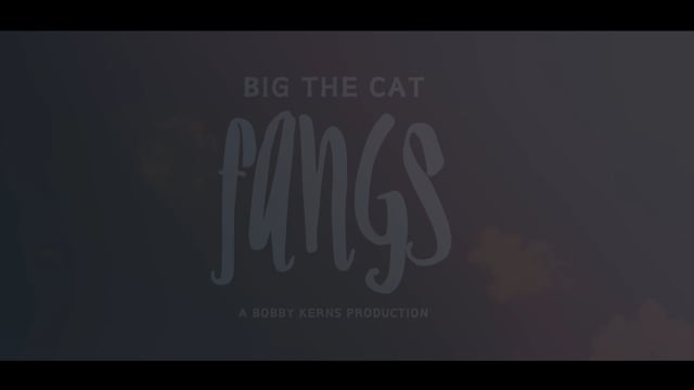 Fangs - Big the Cat - Music Video — video thumbnail