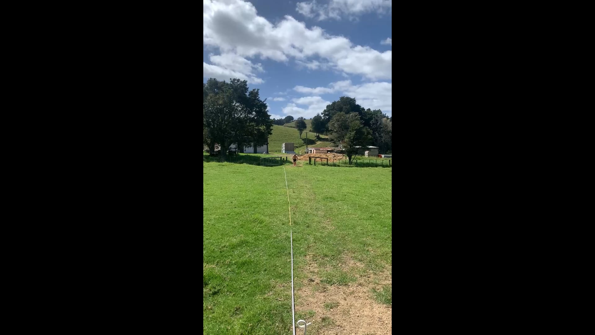 Watch Reuben McCulloch's 40 Yard Dash: 5.46 seconds