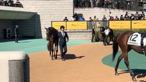 動画サムネイル