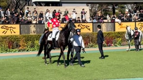 動画サムネイル