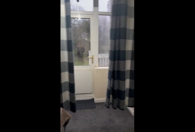 Newly renovated house with a spacious garden. Main Photo