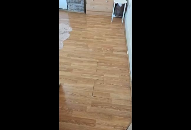 Females only  Main Photo