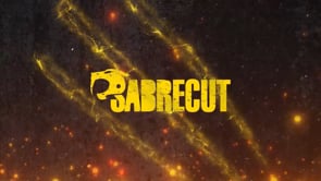 Video Placeholder