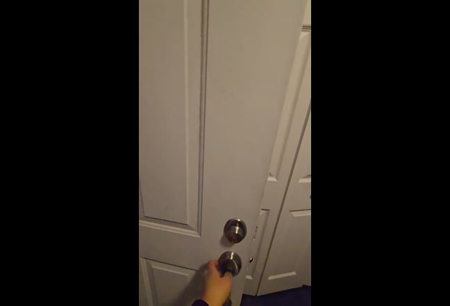 One bed apartment w/laundry/storage in Fairfax Main Photo