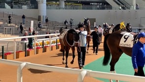 動画サムネイル