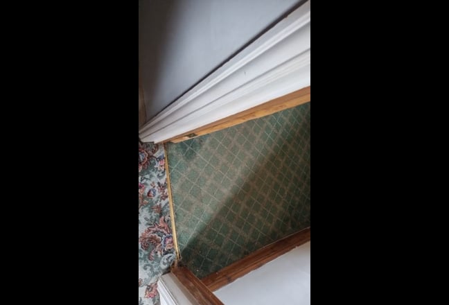 Double bedroom avaliable for rent  Main Photo