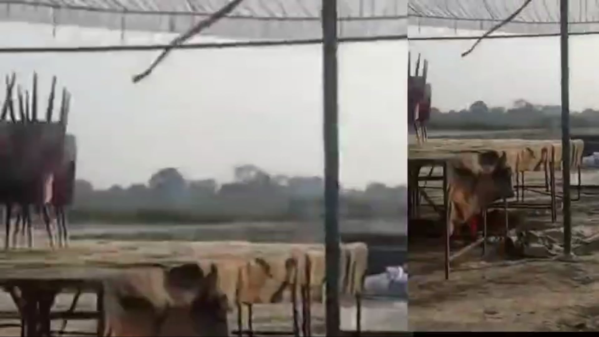 आज की सभी बड़ी खबरें 22/02/2026 || dinbhar ki badi khabren ||  pratapgarh news @reporterJitendra 