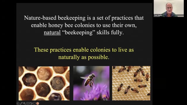 Nature based beekeeping