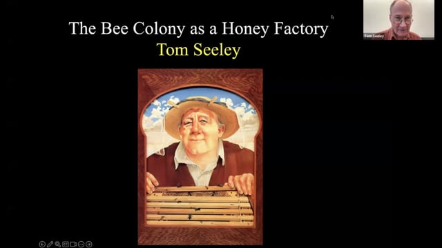 The Bee colony as a honey Factory