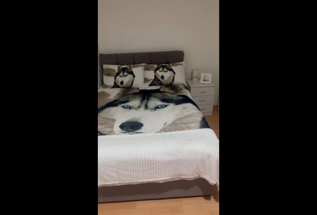 Doble furnished room to rent  Main Photo