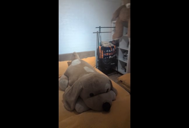 Extremely Large Double  Room Main Photo