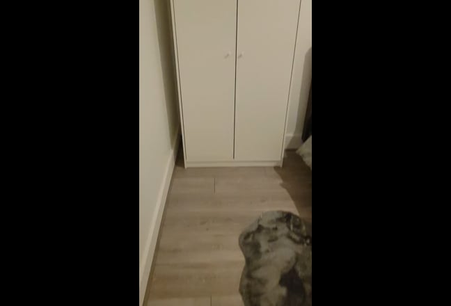 Double Room+ Walkin Wardrobe + Near Station Main Photo