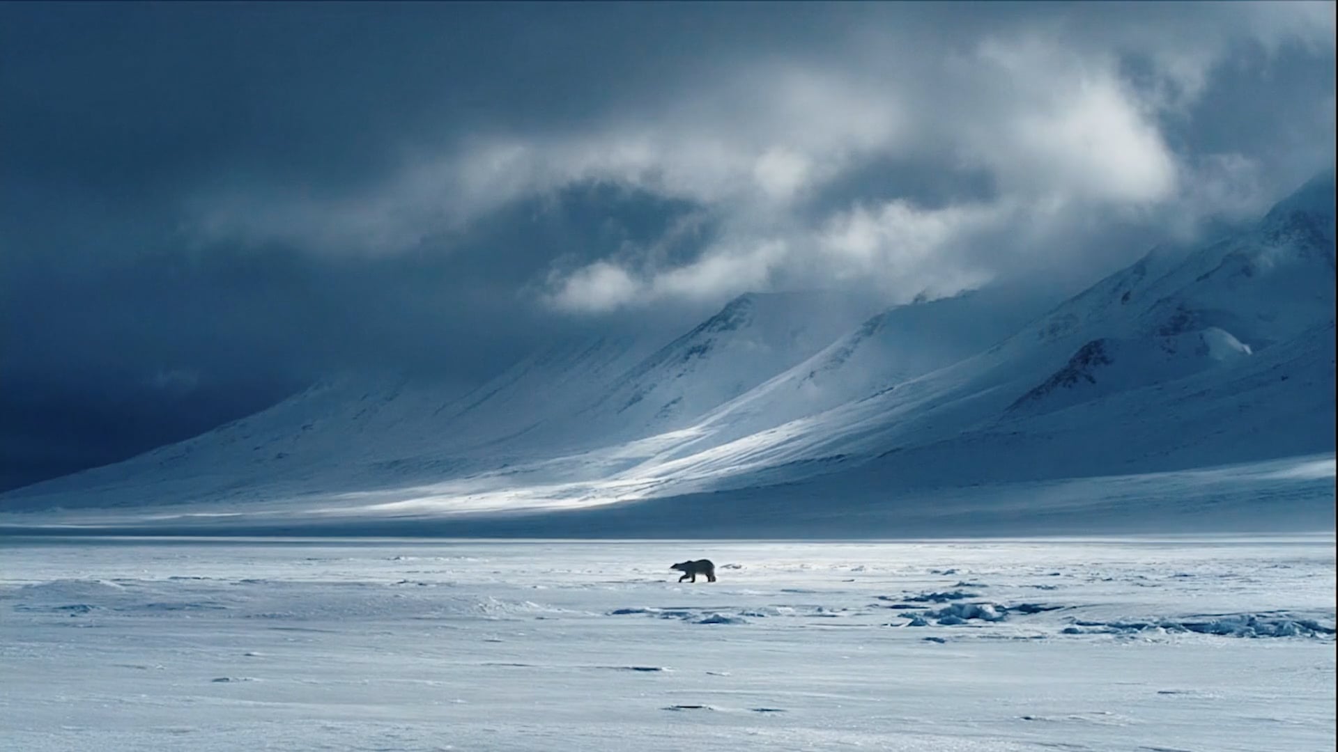 Lufthansa - Business Class