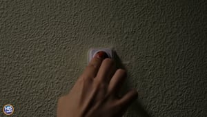 Harilyn Hates Doorbells? ? ?