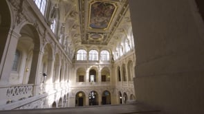 Dimo Software - Forum Dimo