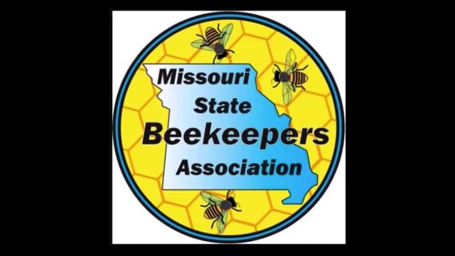 The Sting - Greg Hitchings