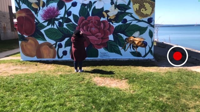 Lake Huron Public Art Activation