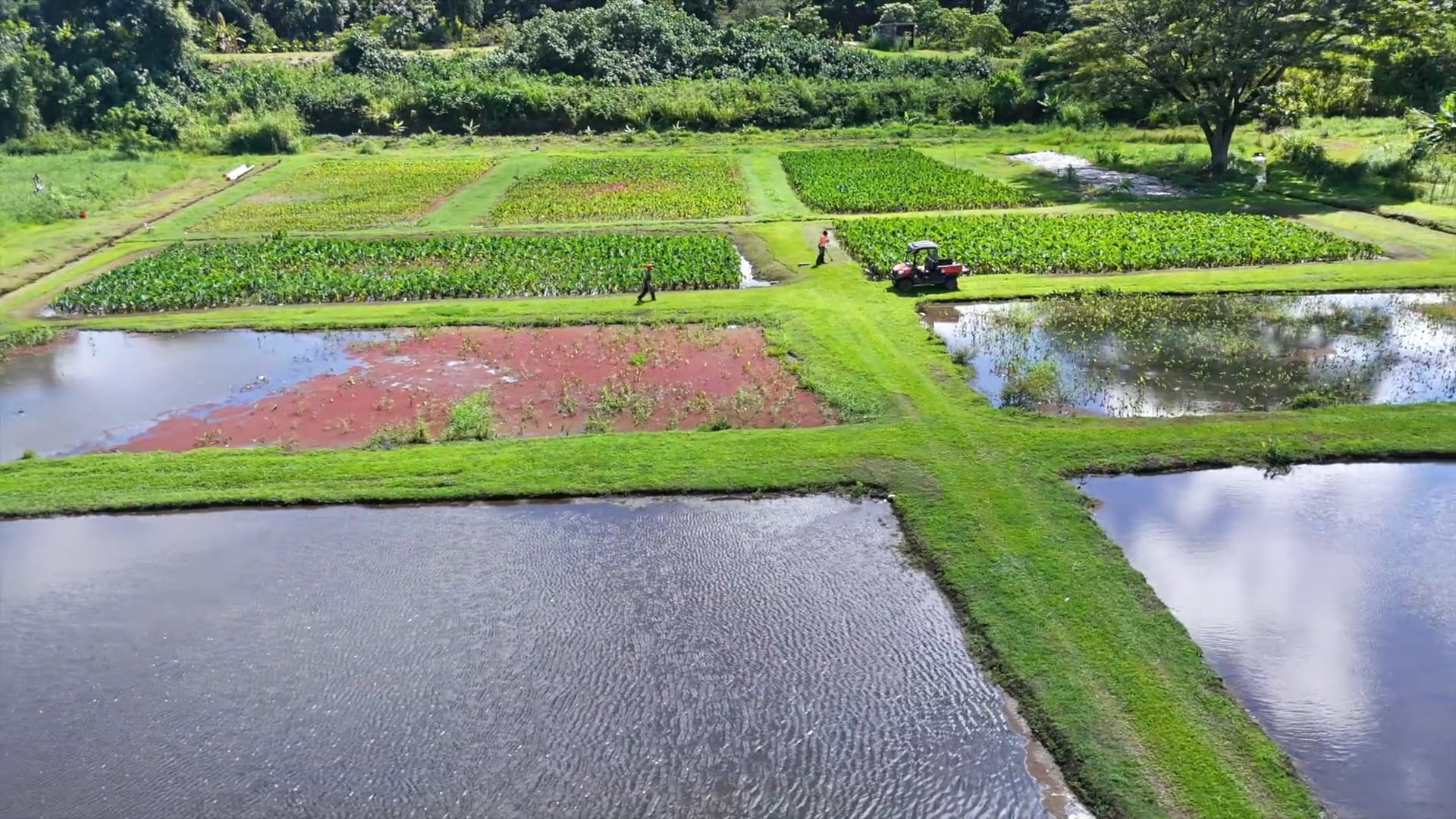 Outside Hawaiʻi 2026-02 Episode