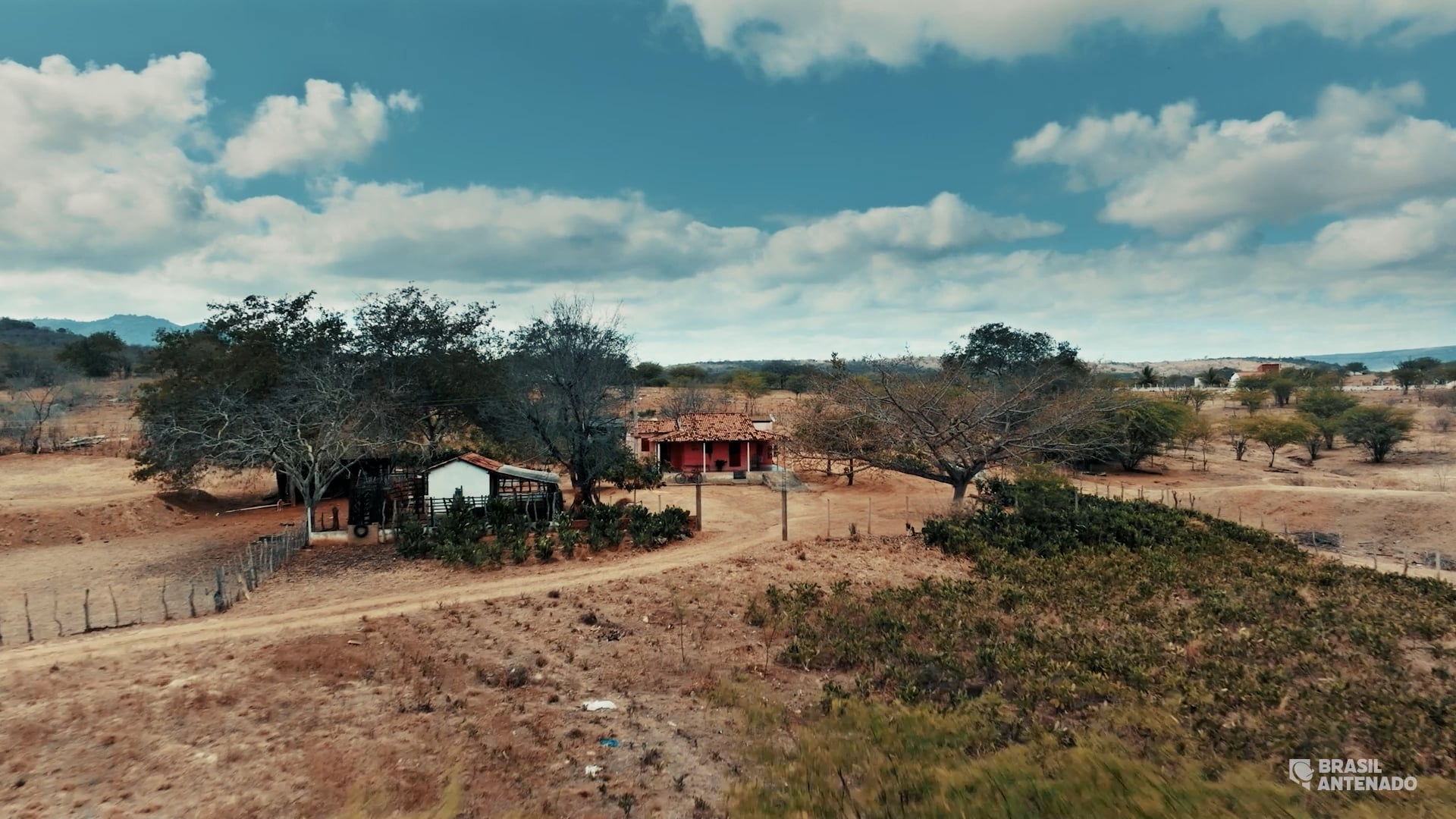 Brasil Antenado com João Gomes